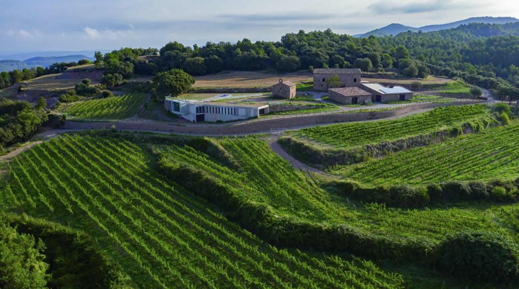 Els cellers d’Oló estudien instal·lar plaques fotovoltaiques a les seves&nbsp;vinyes