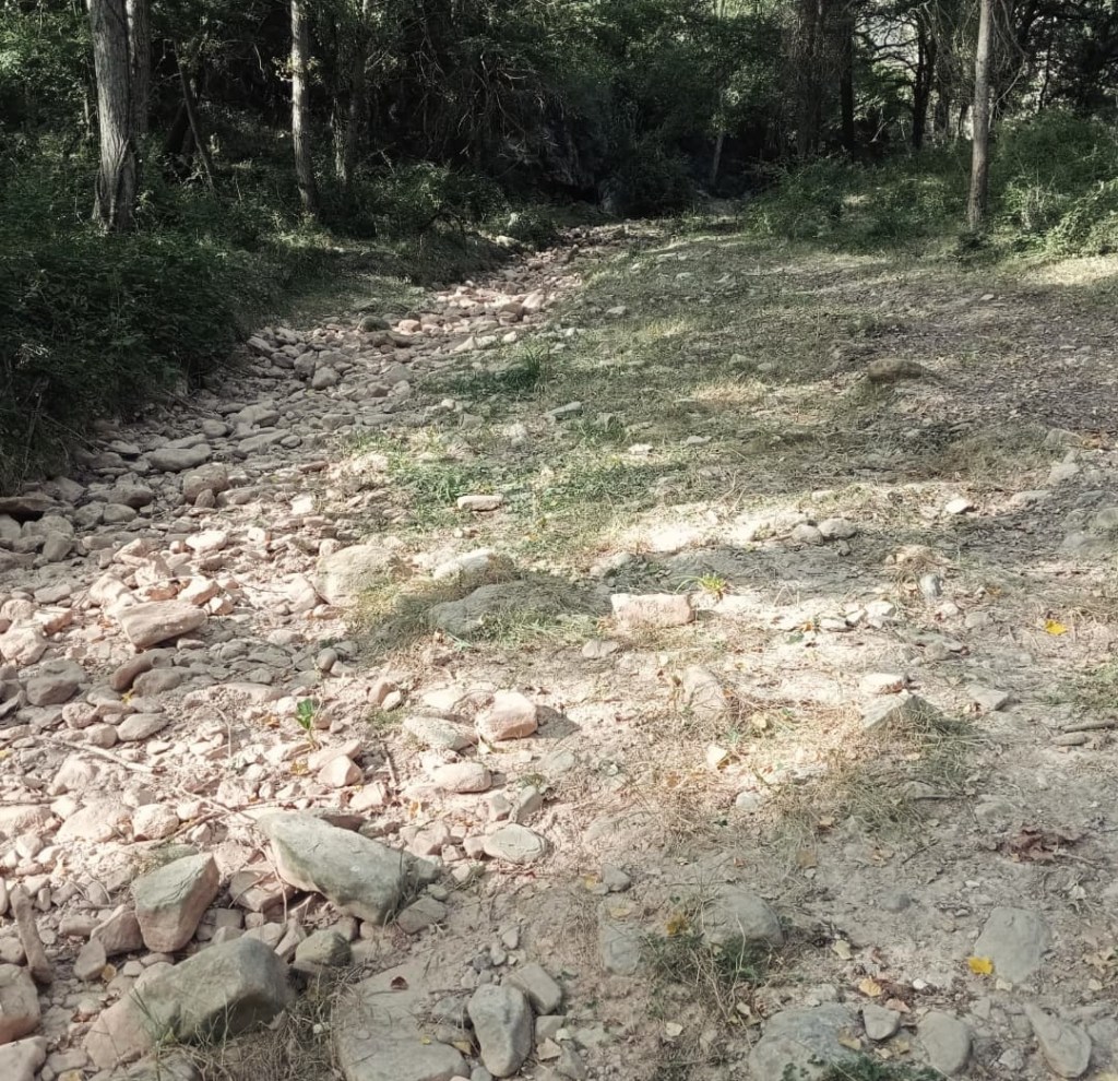 Entrevista: Plataforma per la defensa de la Riera de&nbsp;Malrubí